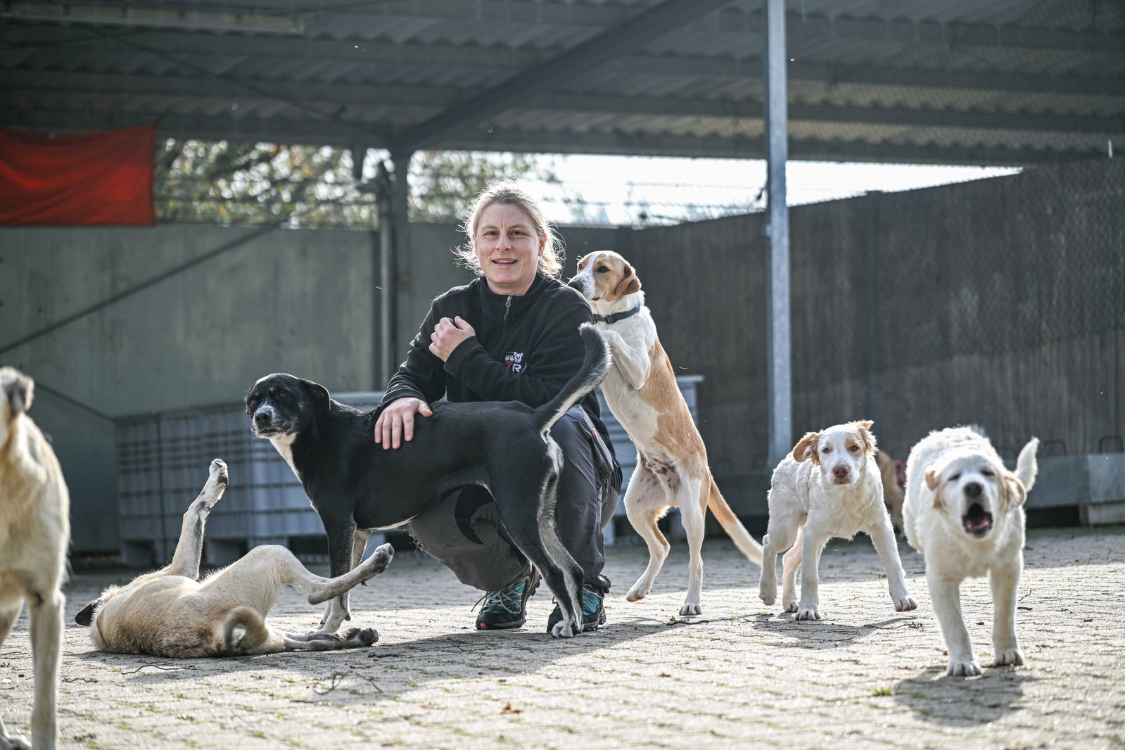 Die Hunde fressen das Rehfleisch gerne, wie Tierpflegerin Nina Herzog sagt.