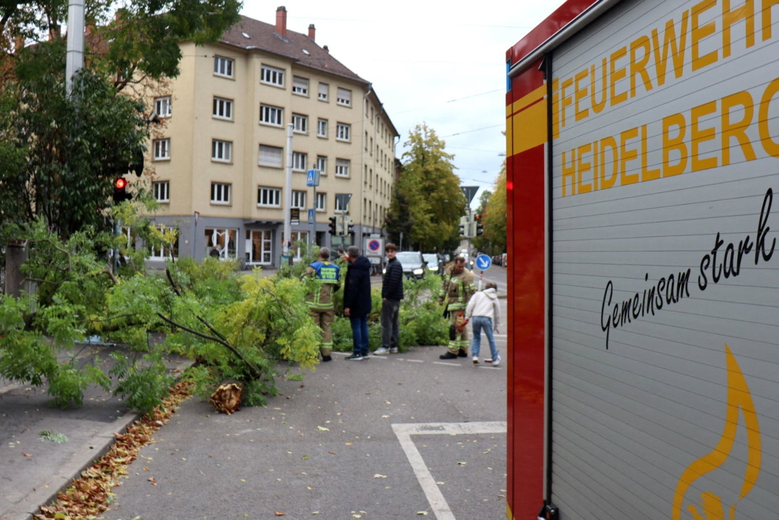 An einigen Orten stürzten Bäume um.