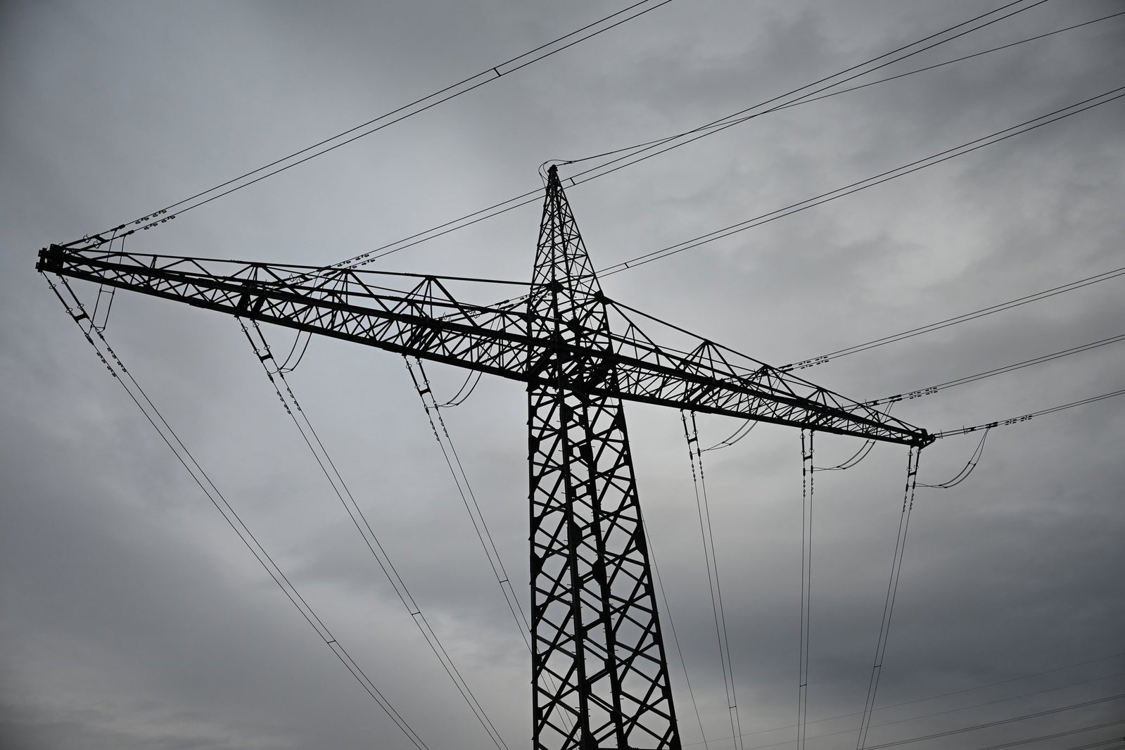 Bei dem Stromausfall in Freiburg und Umgebung sind auch Bäume in Oberleitungen gestürzt. (Symbolbild)