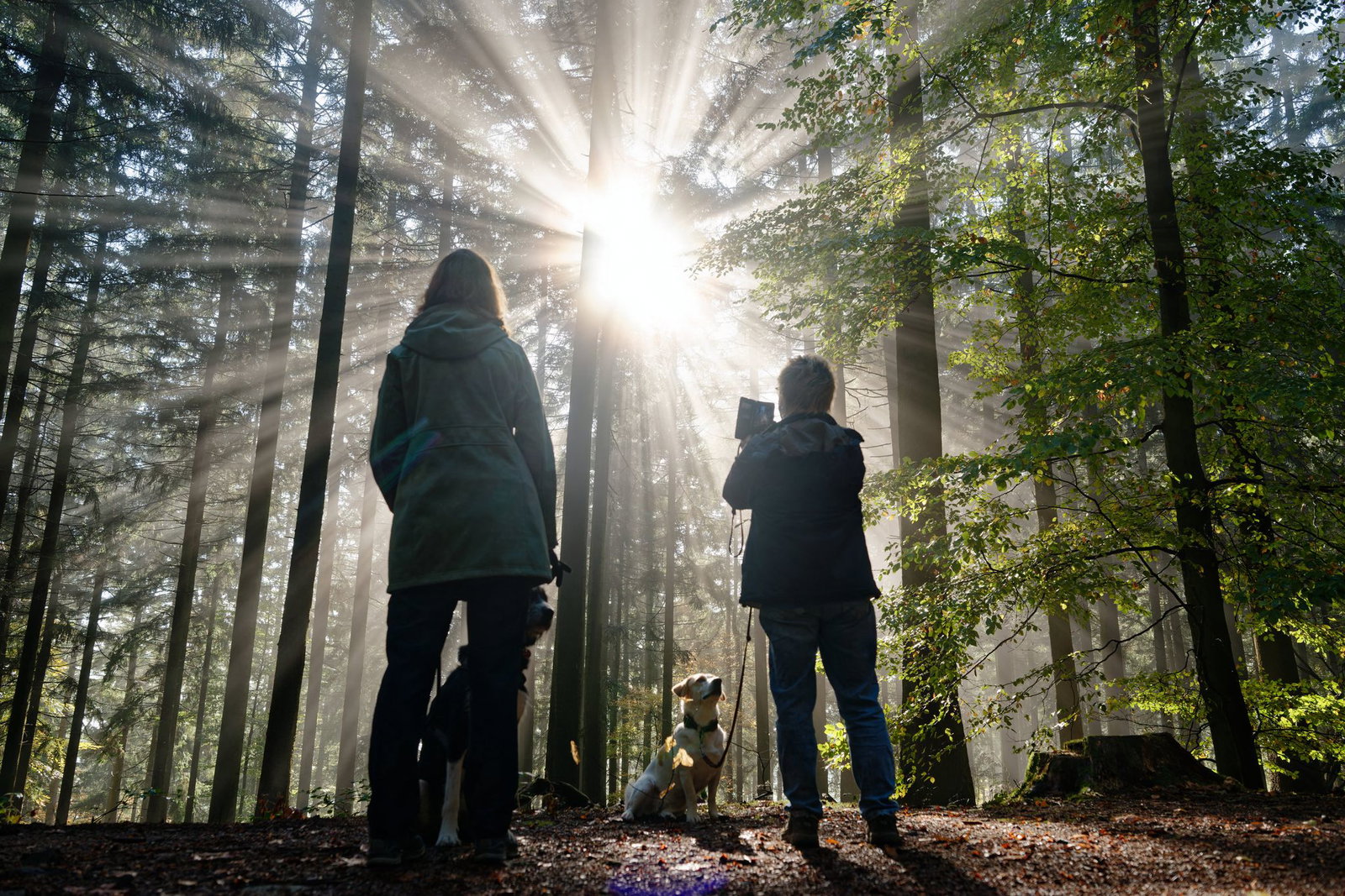 Insbesondere im Hochschwarzwald ist am Samstag mit viel Sonne zu rechnen. (Archivbild vom 28.10.2026)
