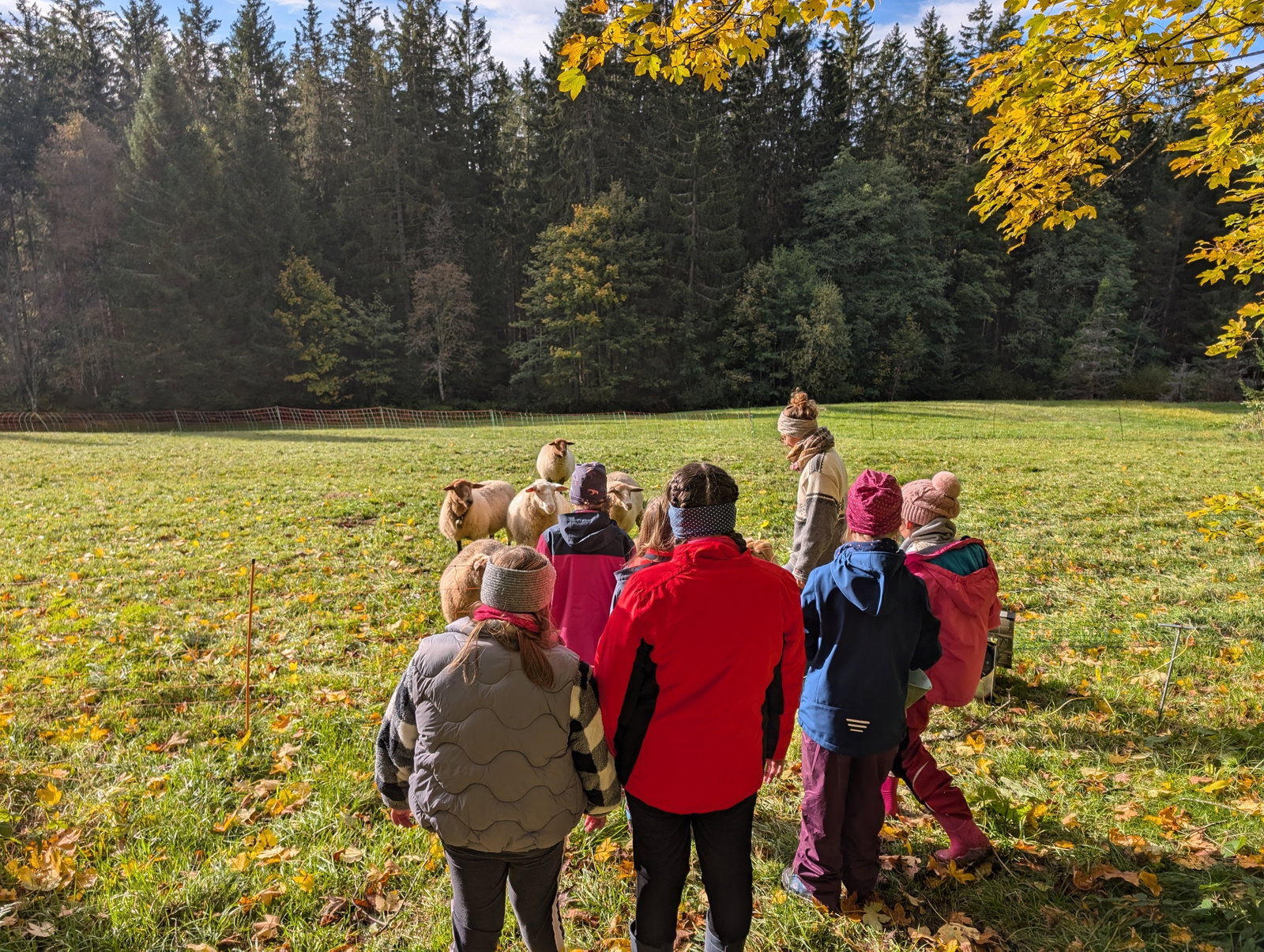 KuR Bauernhof Kinder mit Schafen