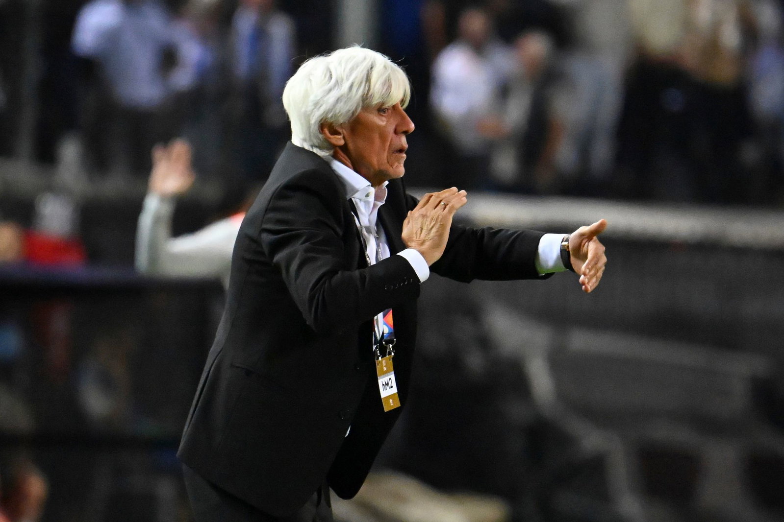 Heimvorteil: Griechenlands Trainer Ivan Jovanovic.  