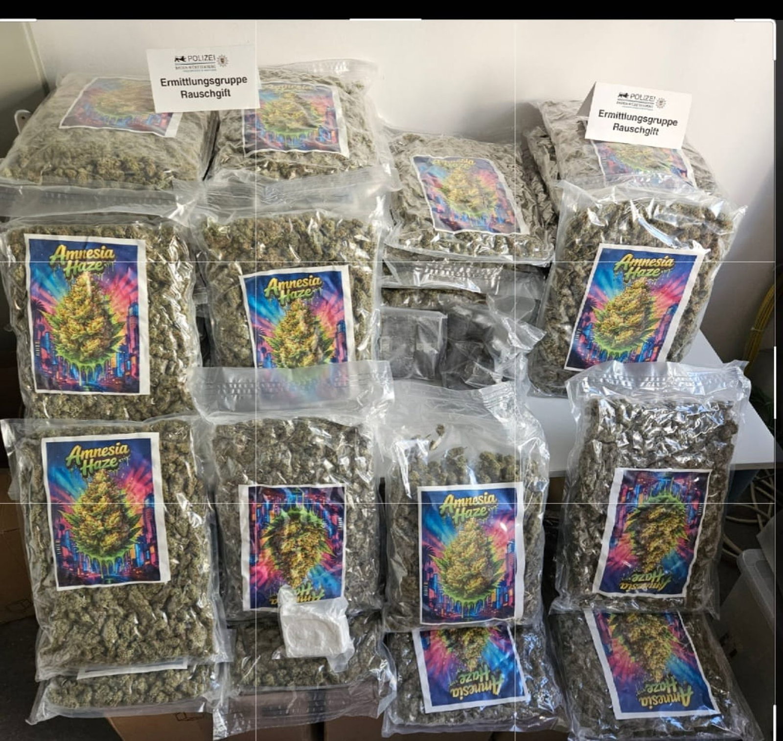 Die Ermittler fanden bei der Wohnungsdurchsuchung neben Marihuana und Haschisch auch 432 Gramm Kokain.