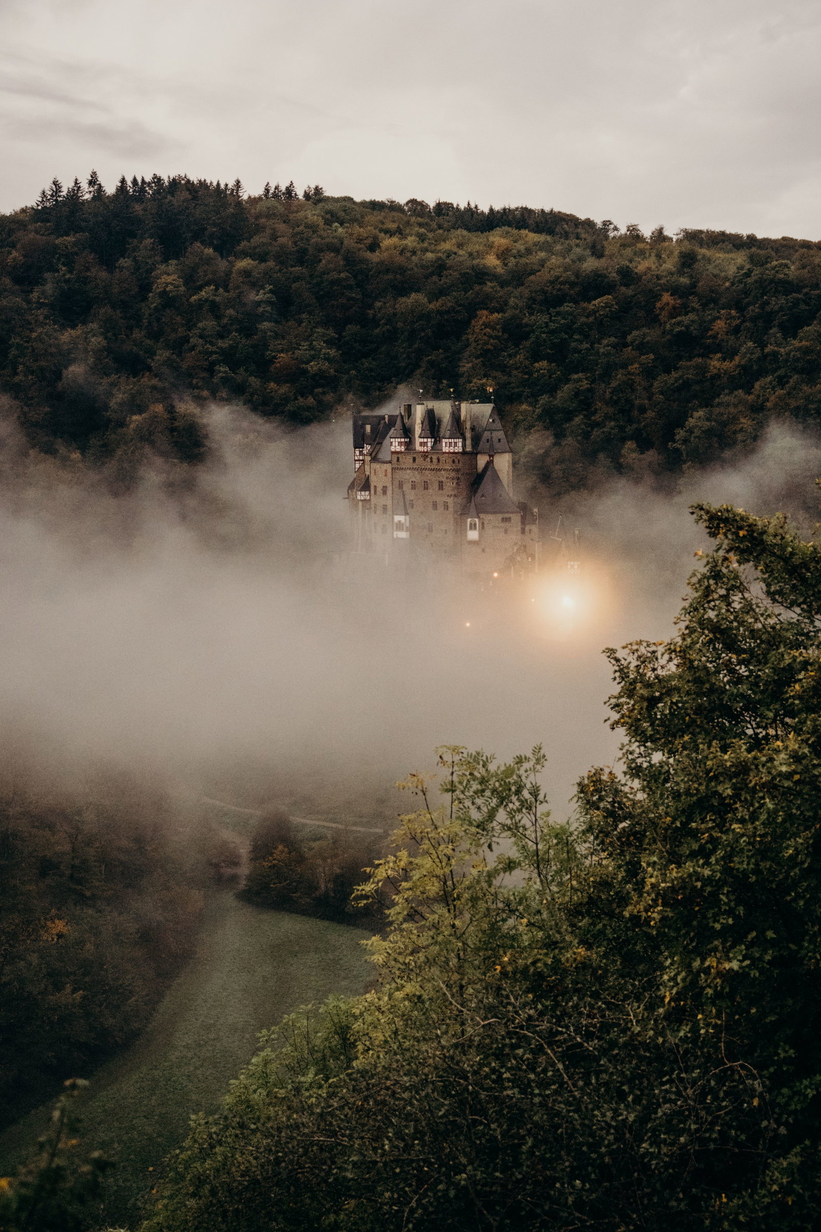 RLP Nebel