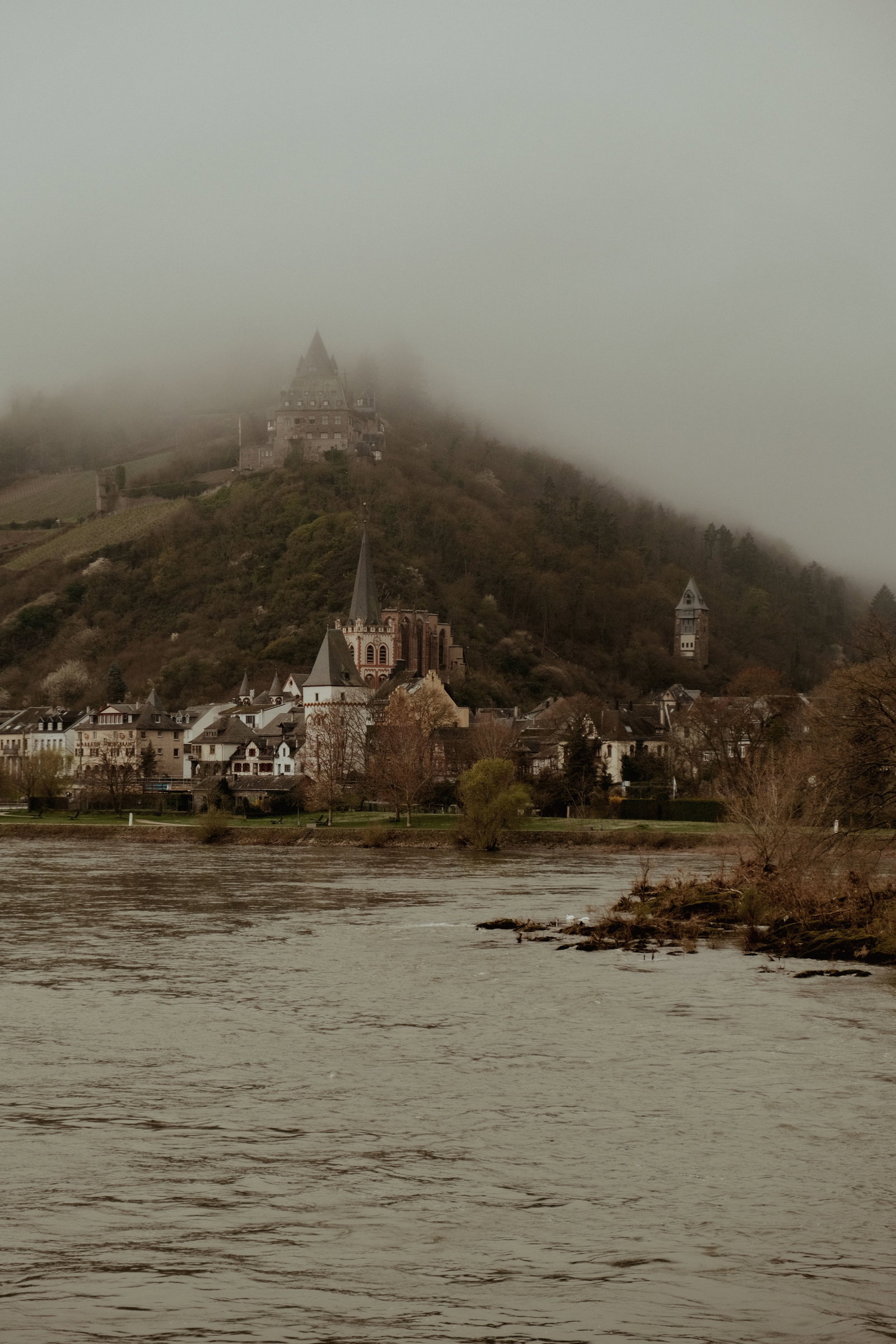 RLP Nebel