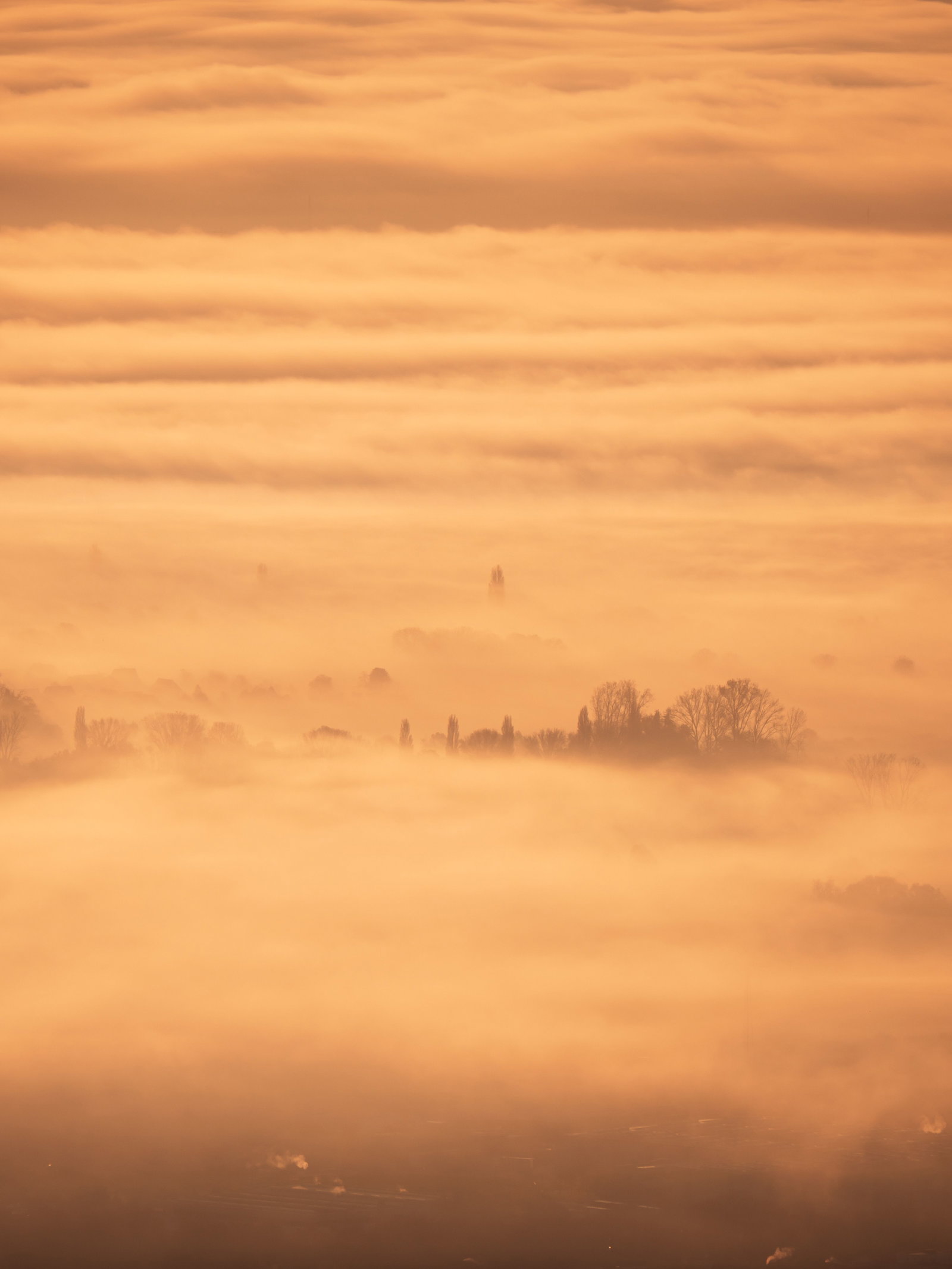 RLP Nebel