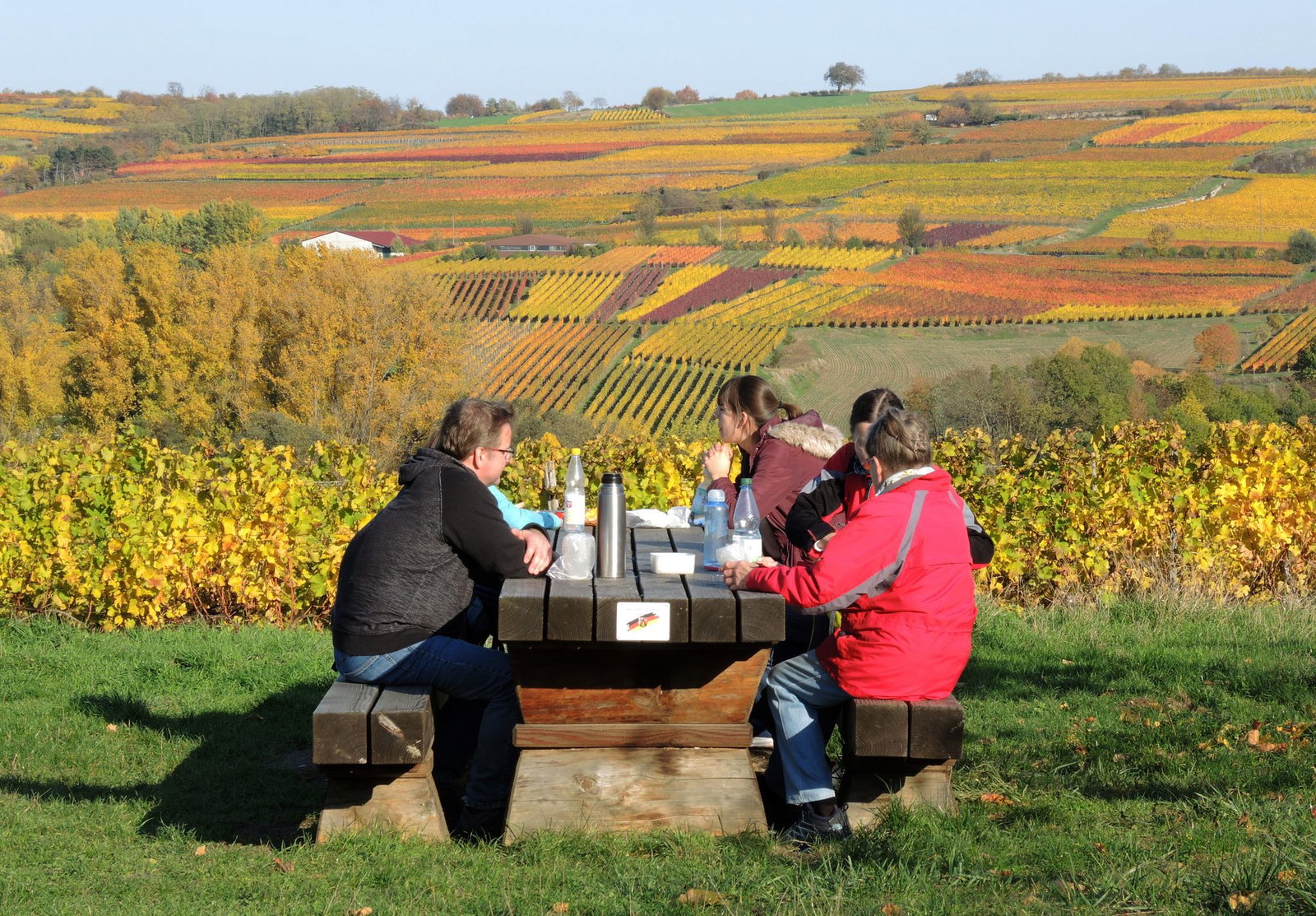 Der Herbst ist eine gute Jahreszeit für Wanderungen in den Weinbergen. (Archivbild)  