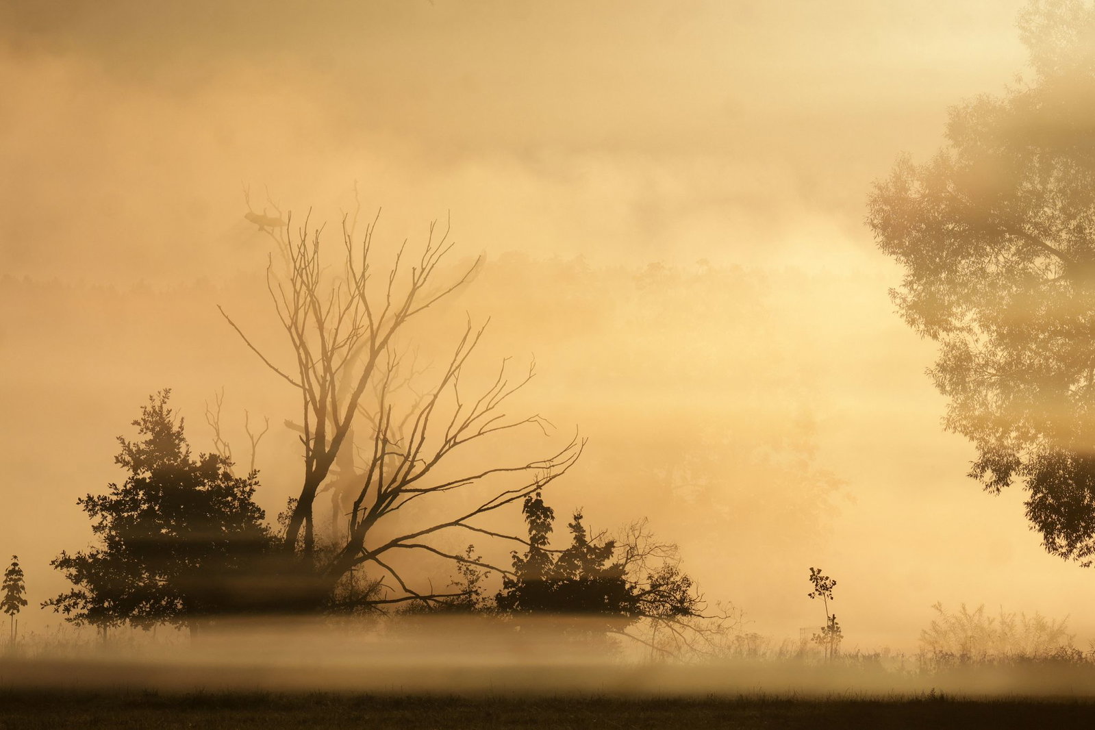 Mit Nebel und deutlich kühleren Temperaturen startet Baden-Württemberg in den Freitag.