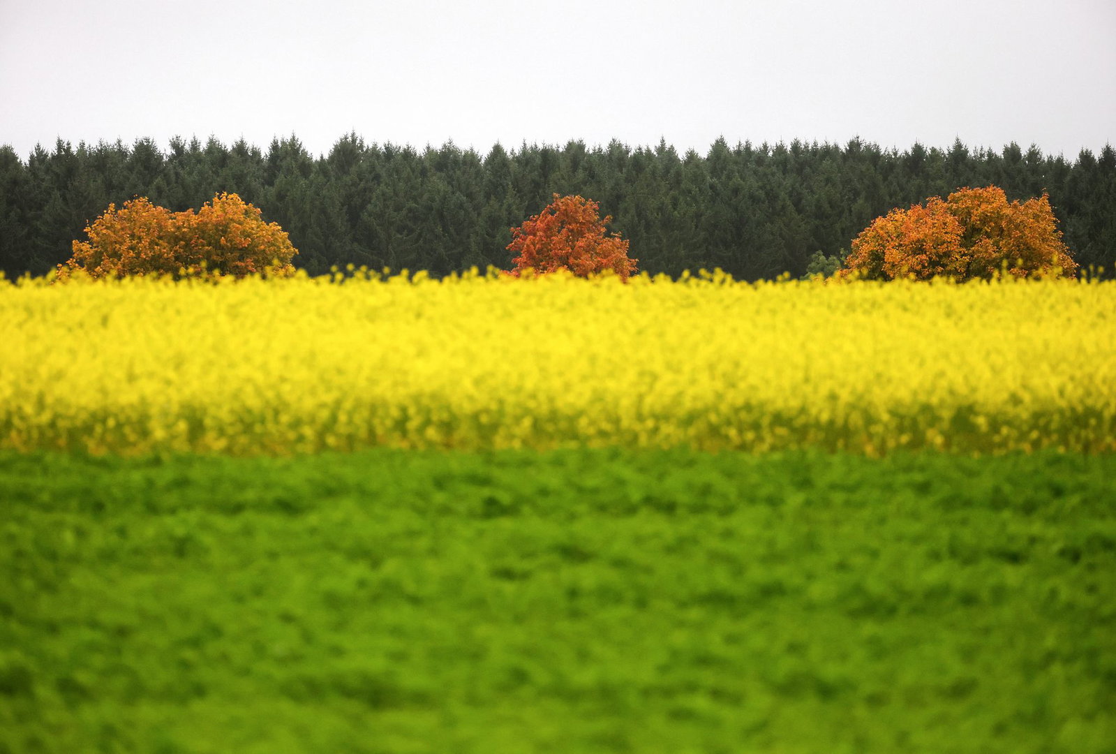 Vor allem am Montagnachmittag gibt es in Baden-Württemberg Auflockerungen, wie der Deutsche Wetterdienst (DWD) vorhersagt.