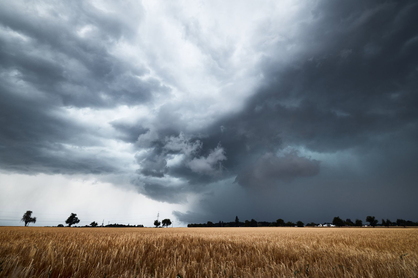 Gewitterwolken sollen übers Land ziehen. (Archivbild)