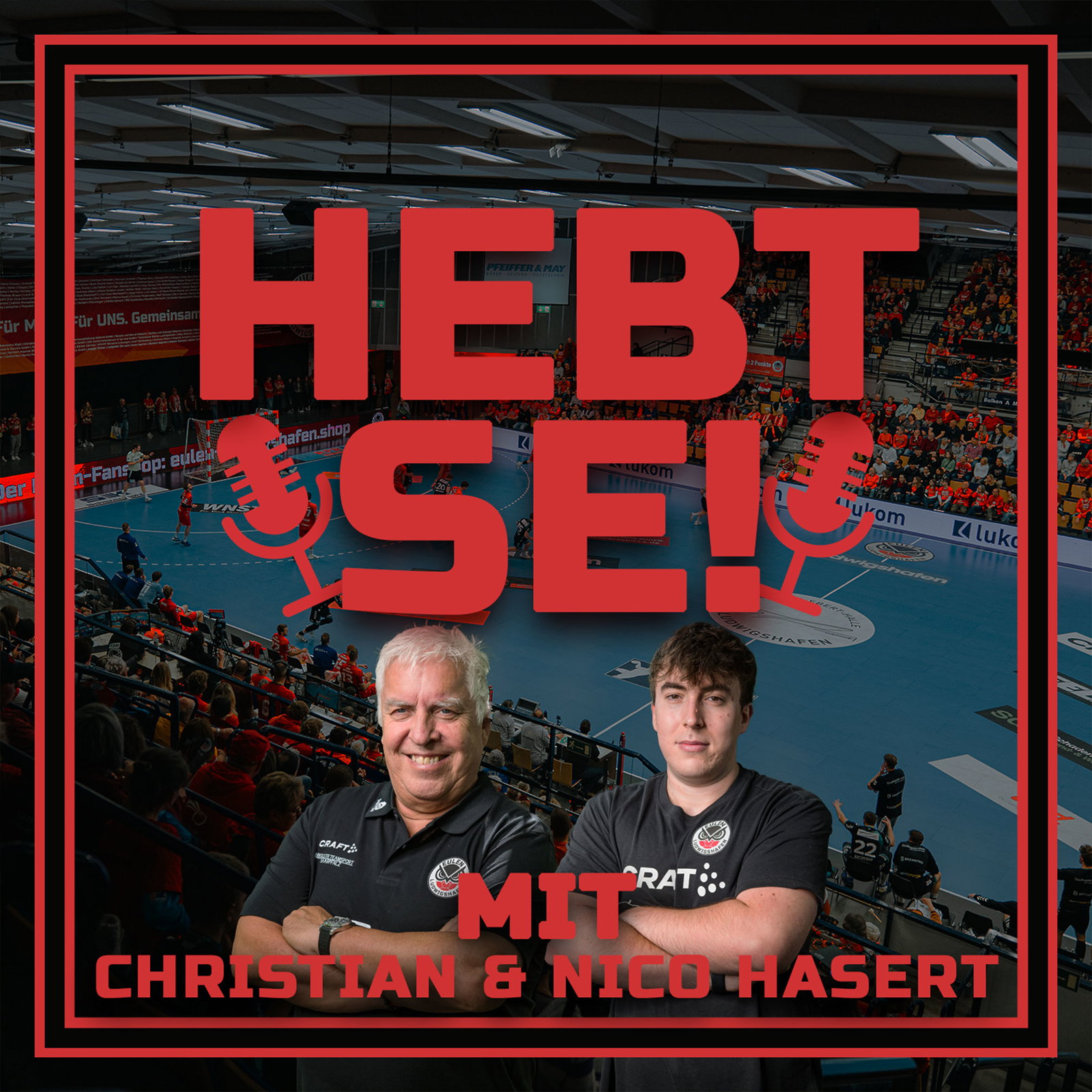 grafik-hasert.jpg