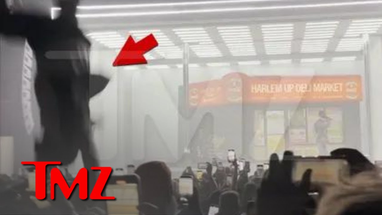 Drake Fan Falls From Balcony During Apollo Concert, Videos Show | TMZ