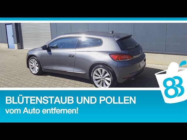 Blütenstaub und Pollen vom Auto entfernen Blütenpollen So werden Sie den Schmutz auf dem Auto los