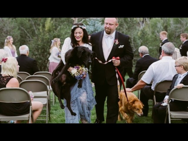 Maid Of Honor Carries Bride's Dying Dog Down Aisle of Her Wedding Ceremony