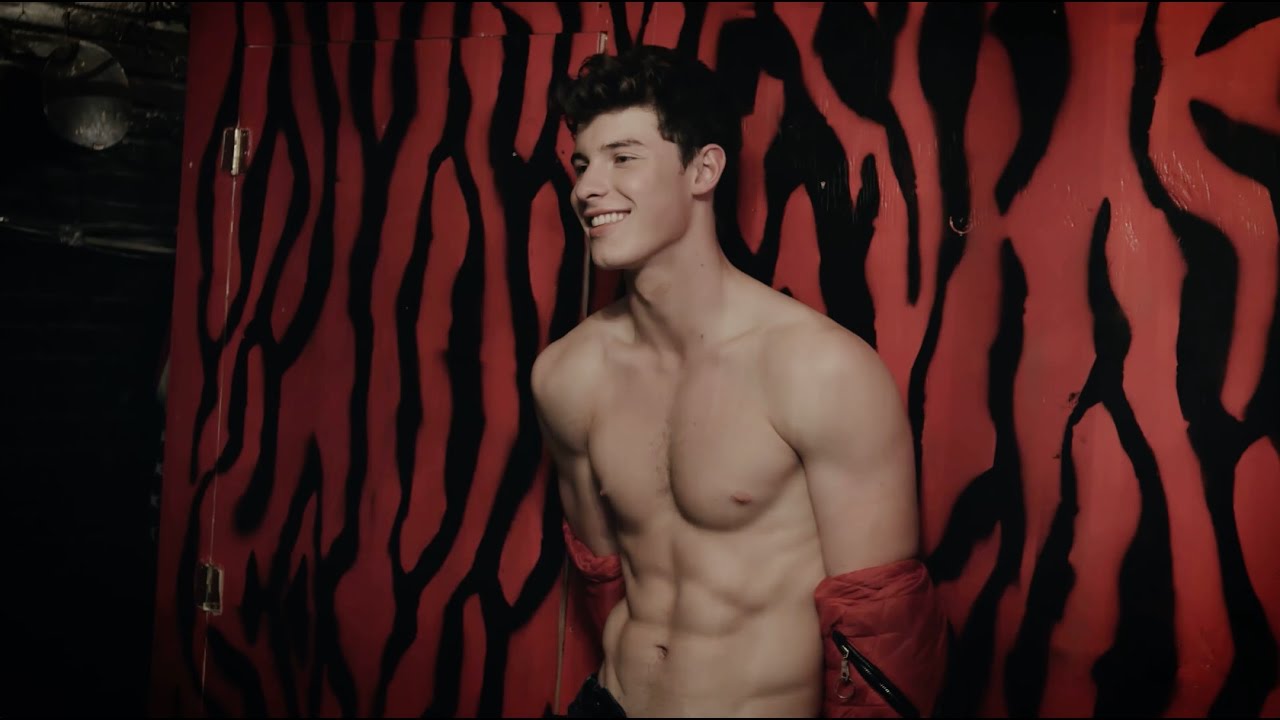 Shawn Mendes for FLAUNT