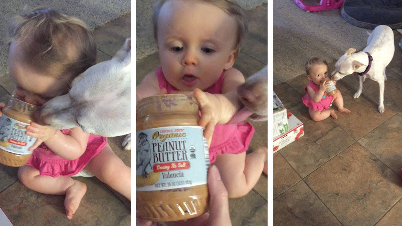 Dog And Baby Share Peanut Butter