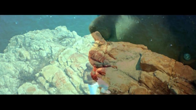 Flo Rida - "Whistle"