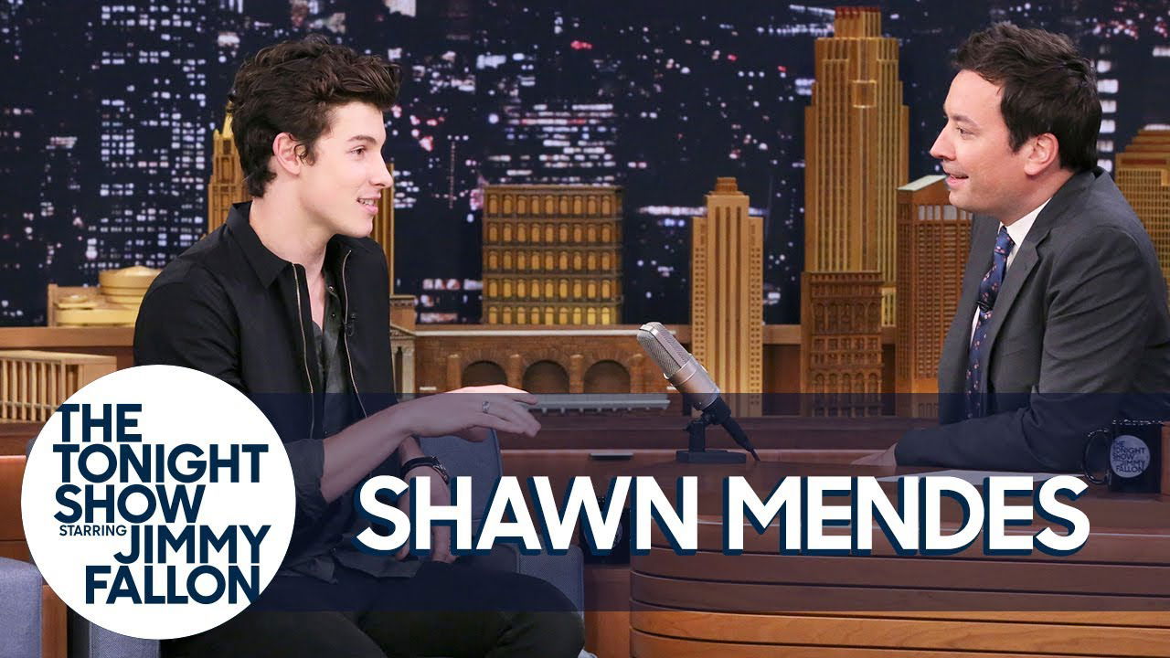 Shawn Mendes Got Roughed Up by Drake's Security Team