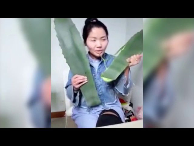 PANICKED  WOMAN ABANDONS LIVE STREAM AFTER REALISING PLANT IS POISONOUS