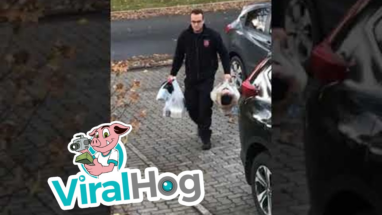 Two-Year-Old Girl Refuses to Walk