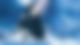 Der Polarexpress - Trailer 1 Deutsch 1080p HD