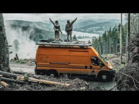 "Die grüne Welt nur noch Kunst" - JERY. | Offizielles Musikvideo