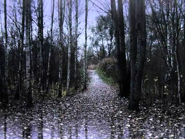 Brieselanger Wald Spuklicht