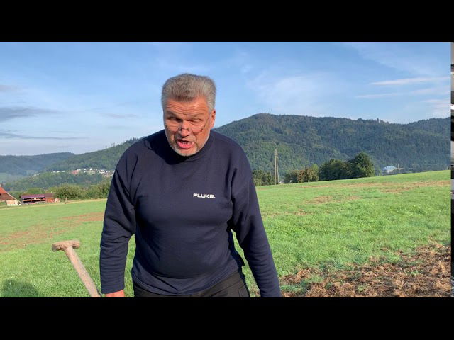 Engerlinge in Waldkirch