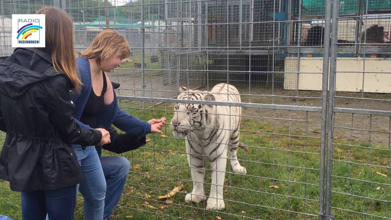 Lenas größter Wunsch