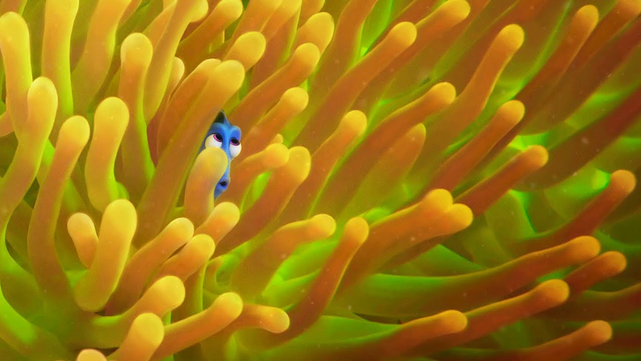 Exclusive! A Brand New ‘Finding Dory’ Trailer