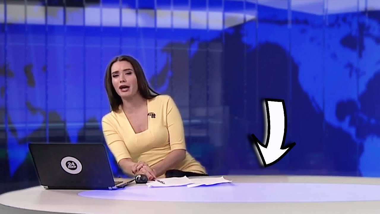 Hund in TV Nachrichten