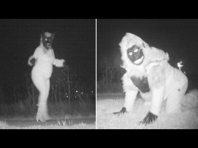 Police setup cameras to catch a mountain lion but captured hilarious people in Kansas