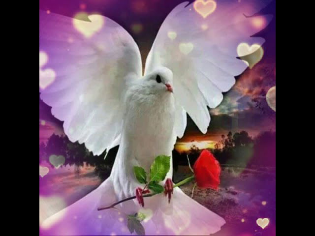 Eule - Steh auf Mädchen 🎶