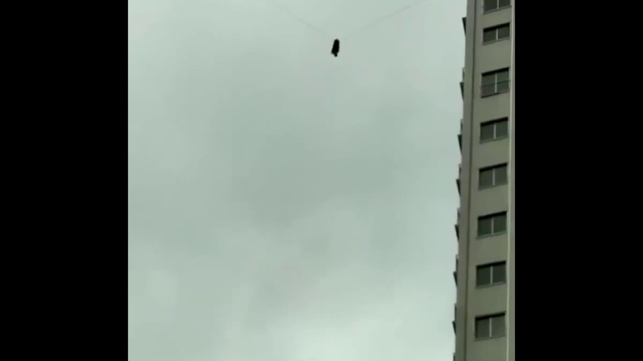 Man stuck between buildings on a phone wire