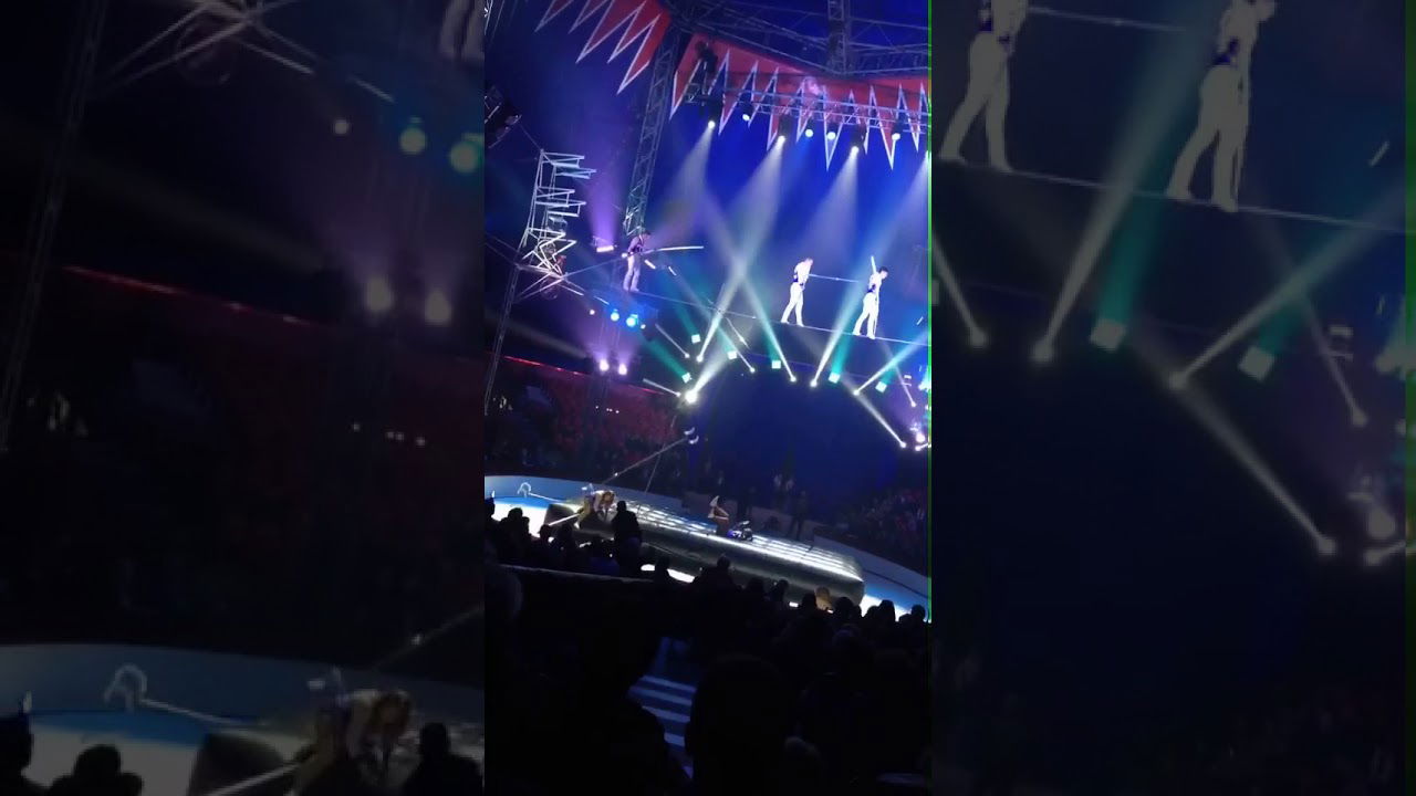 Accident de cirque à Dunkerque : un spectateur gravement blessé