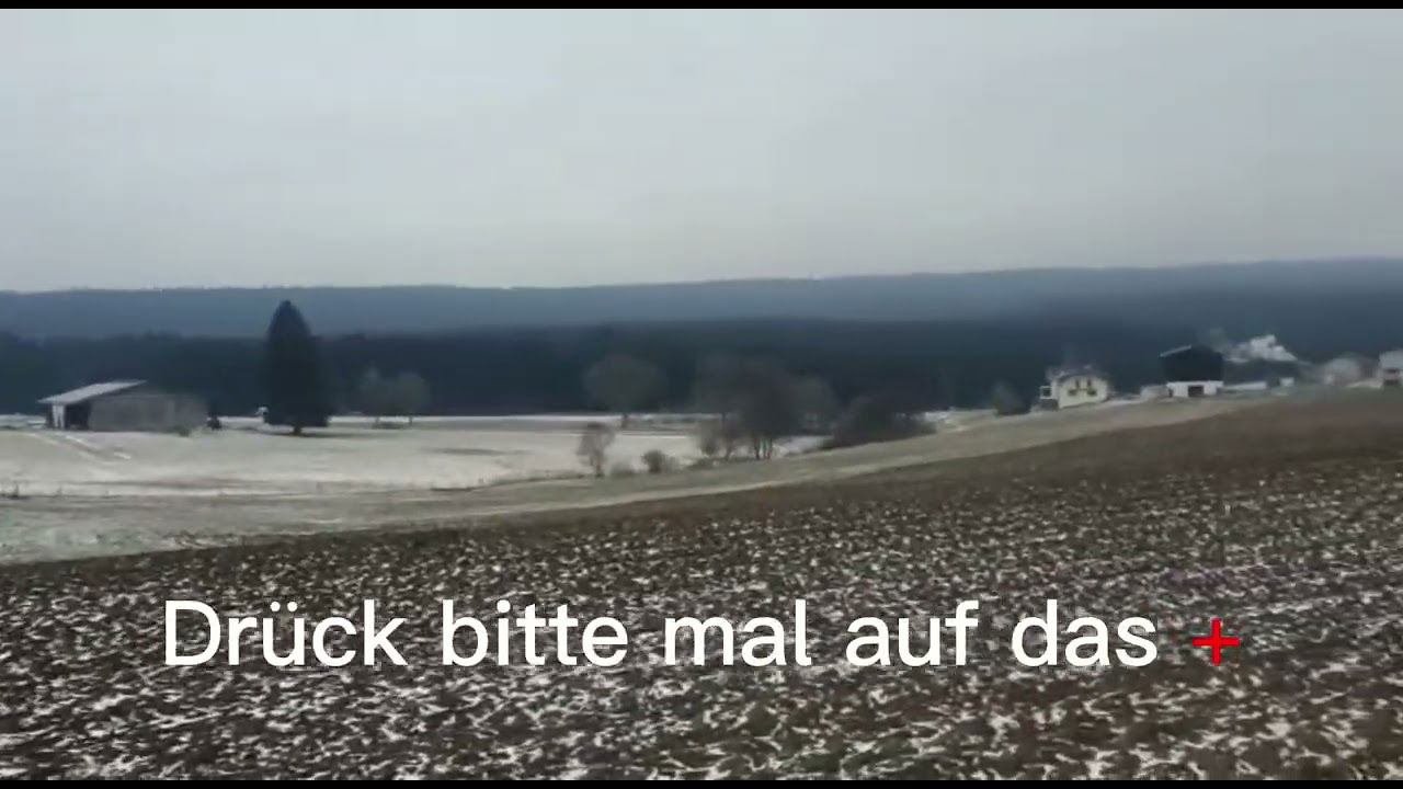 Der Wolf ist in Bonndorf im Schwarzwald angekommen.