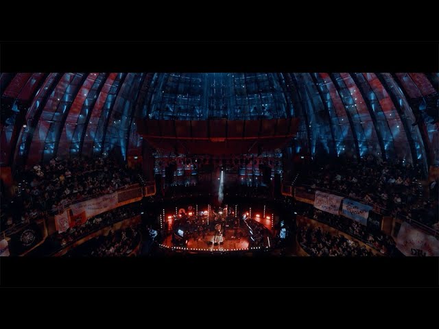 Die Toten Hosen // 1000 gute Gründe (Ohne Strom) [Offizielles Musikvideo]