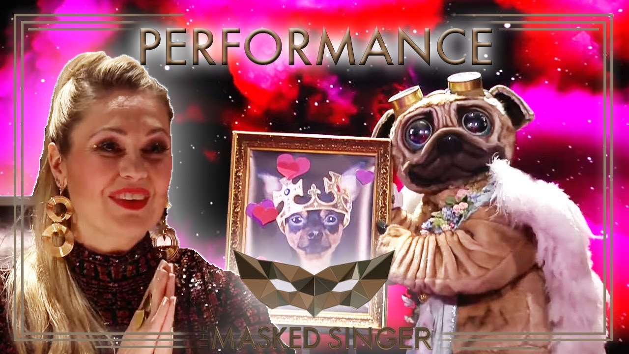 Just The Way You Are - Bruno Mars | Der Mops | The Masked Singer | ProSieben