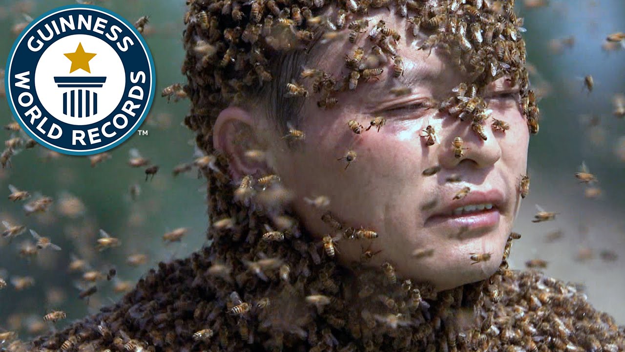 Longest duration with head fully covered by bees // Guinness World Records Italian Show (Ep3)