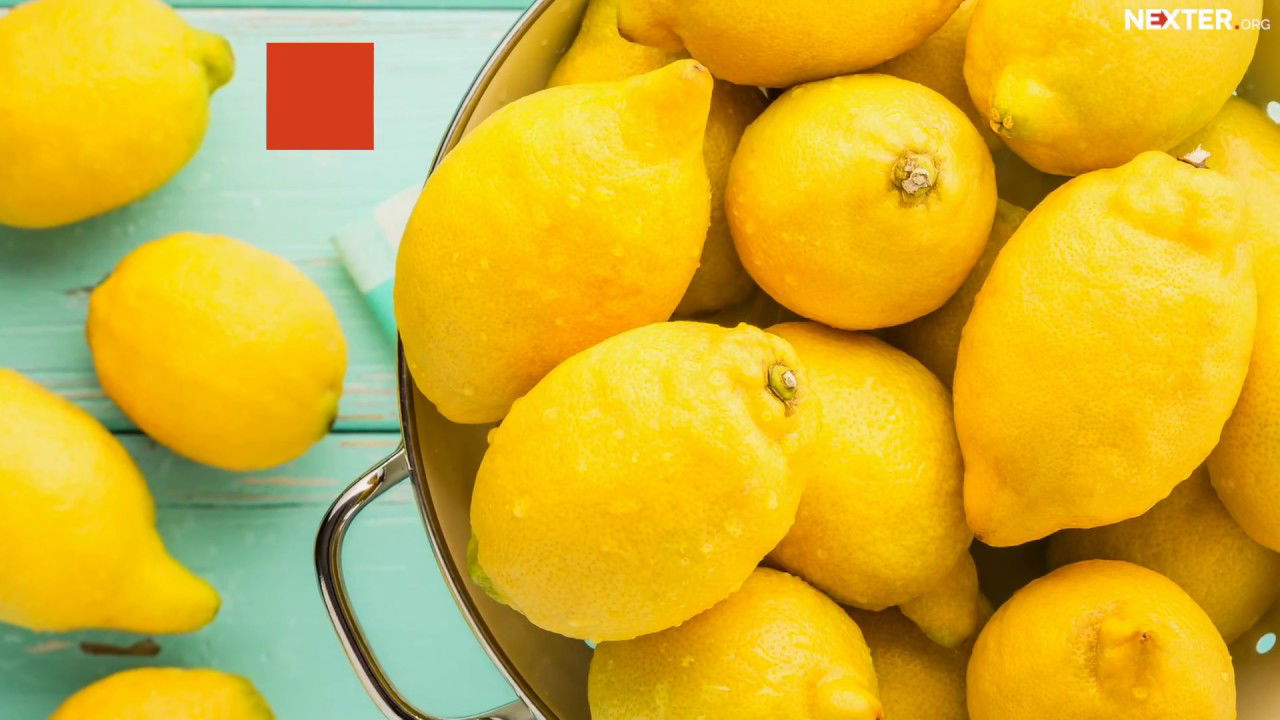 The Lemon Face Challenge: people all over US eat lemons to help treat child cancer!