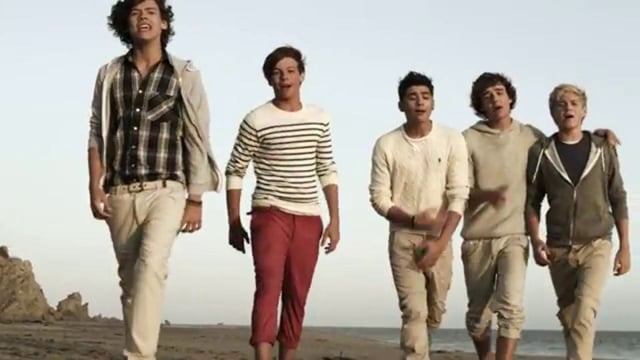 1D// What Makes You Beautiful♥