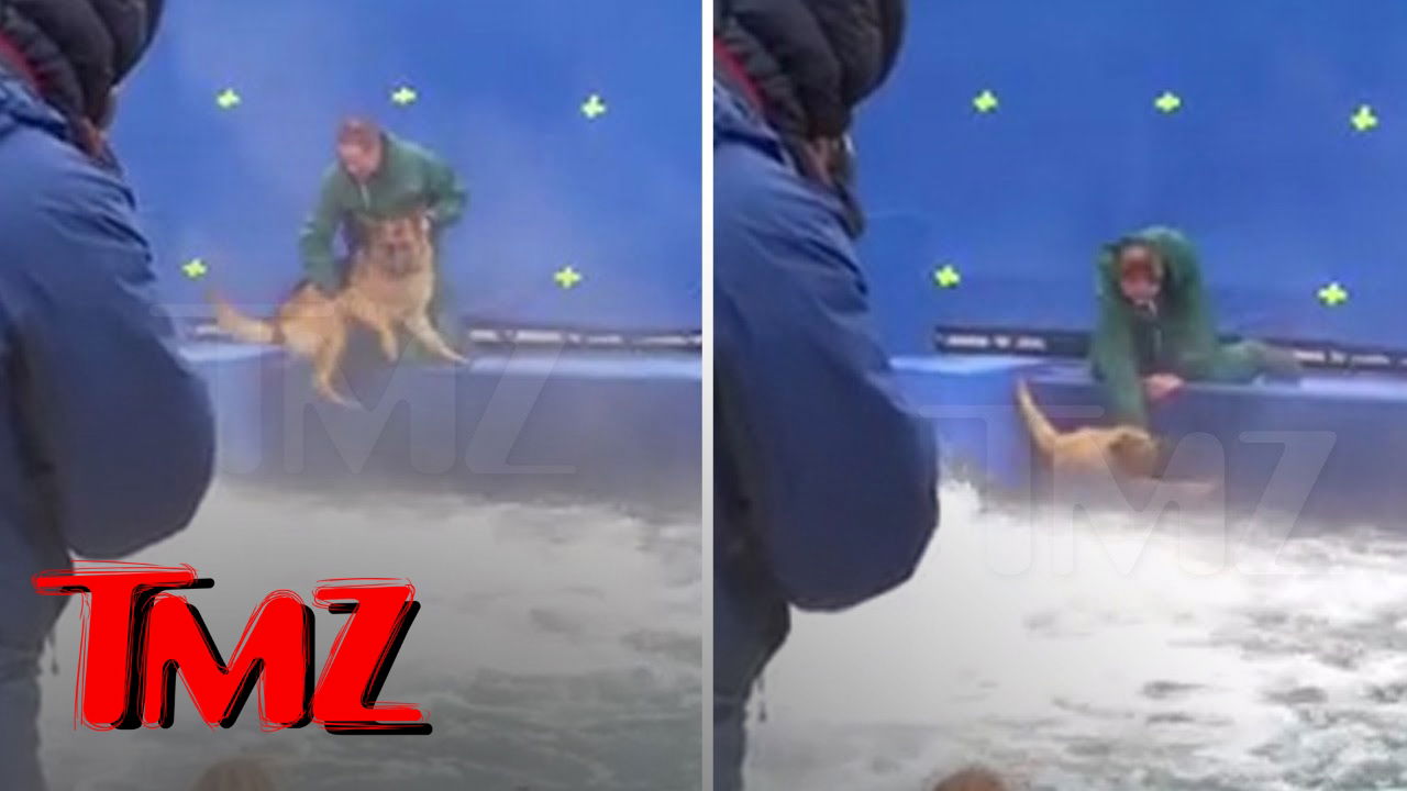 A DOG'S PURPOSE' TERRIFIED GERMAN SHEPHERD FORCED INTO TURBULENT WATER | TMZ