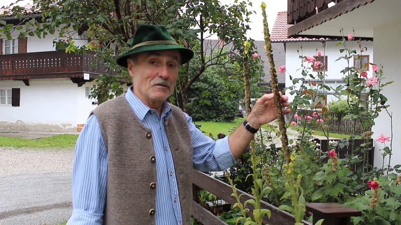 Wie wird der Winter? Das sagt die Wetterkerze