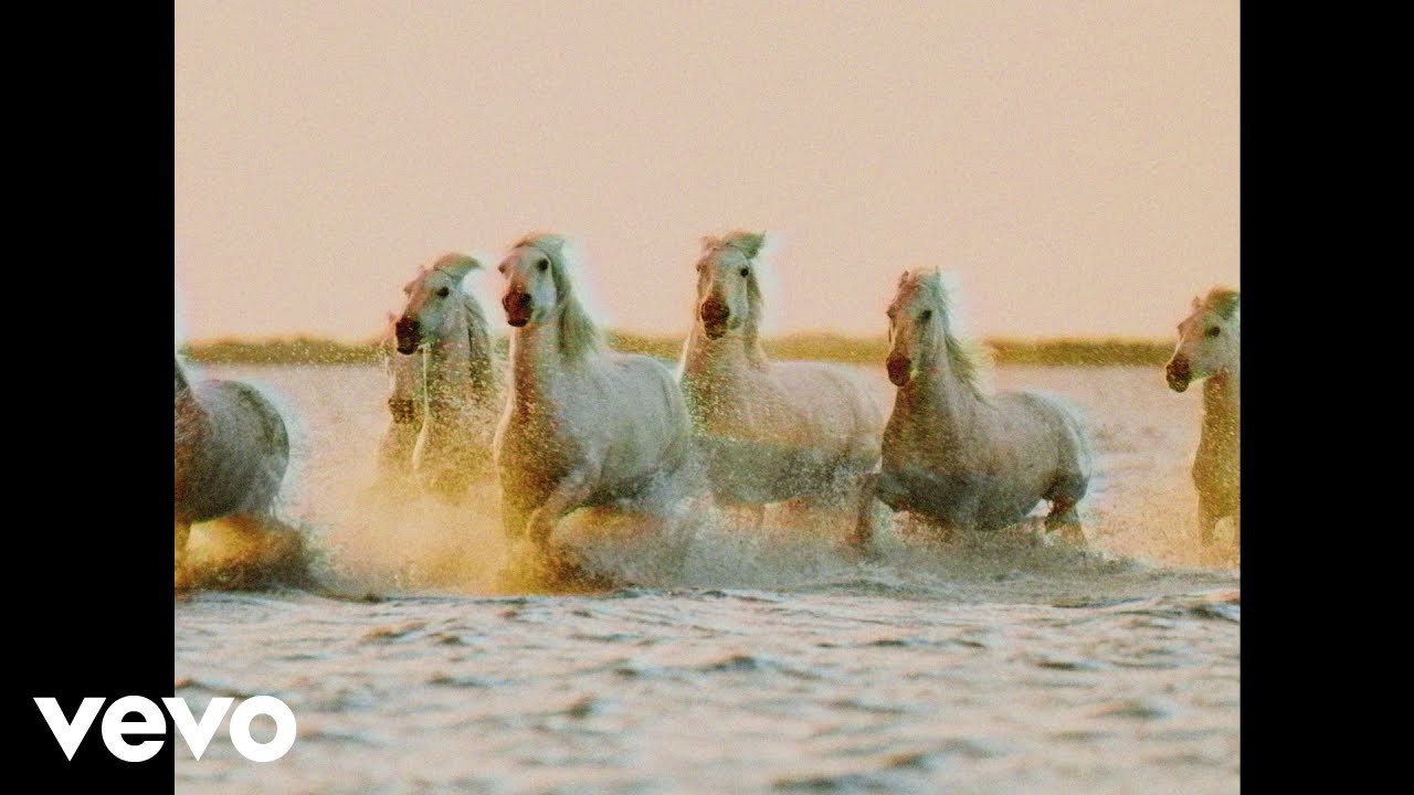 Calvin Harris, Rag'n'Bone Man - Giant (Lyric Video)