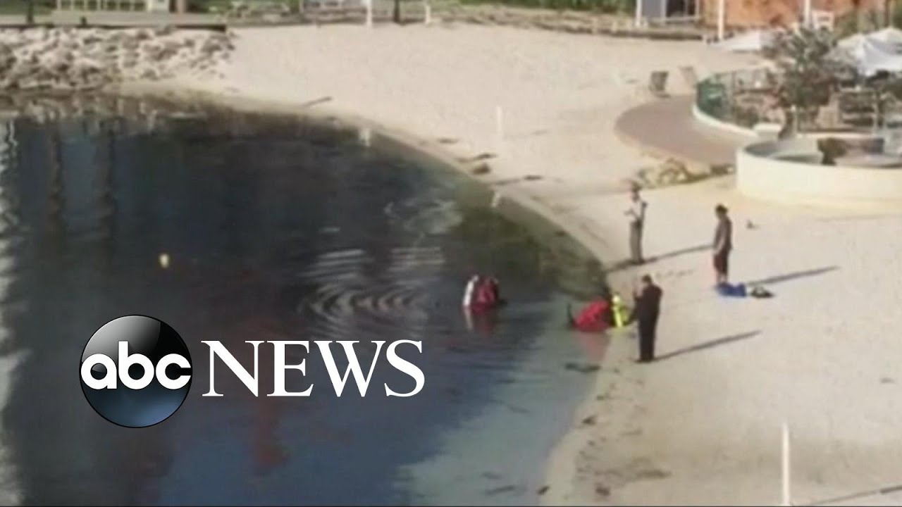 Body of Toddler Drowned By Alligator Found