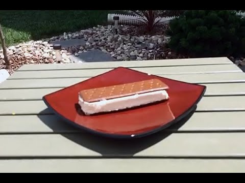 Walmart Ice Cream Sandwich Won't Melt! We Prove It.