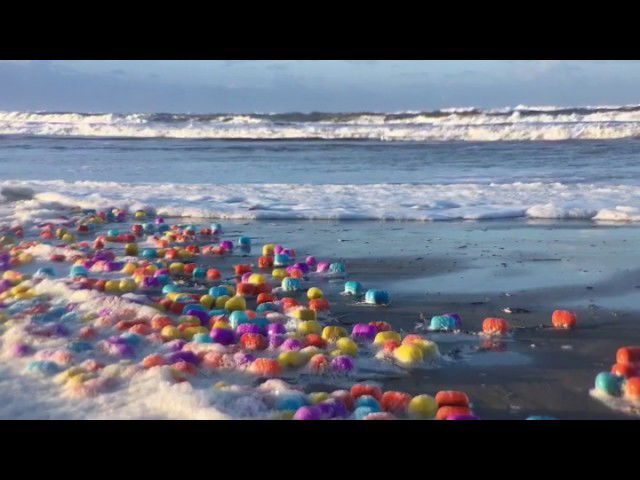 Überraschungseier am Langeooger Strand