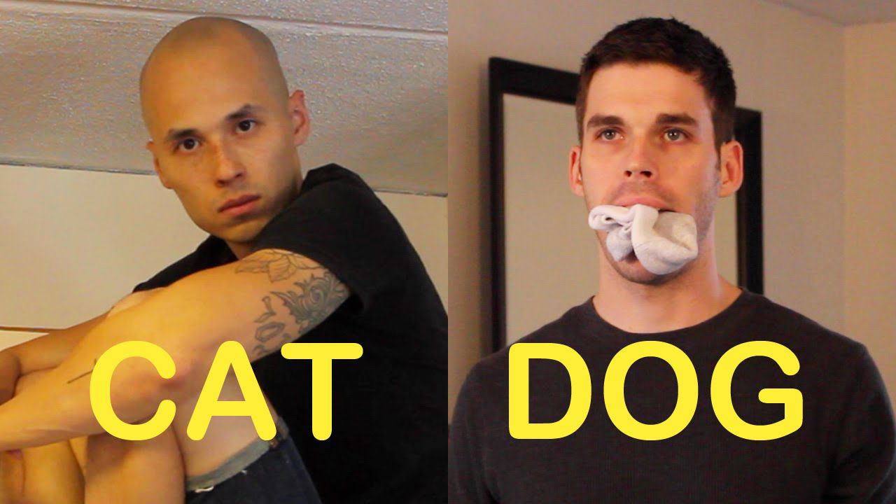 Cat-Friend vs. Dog-Friend 3