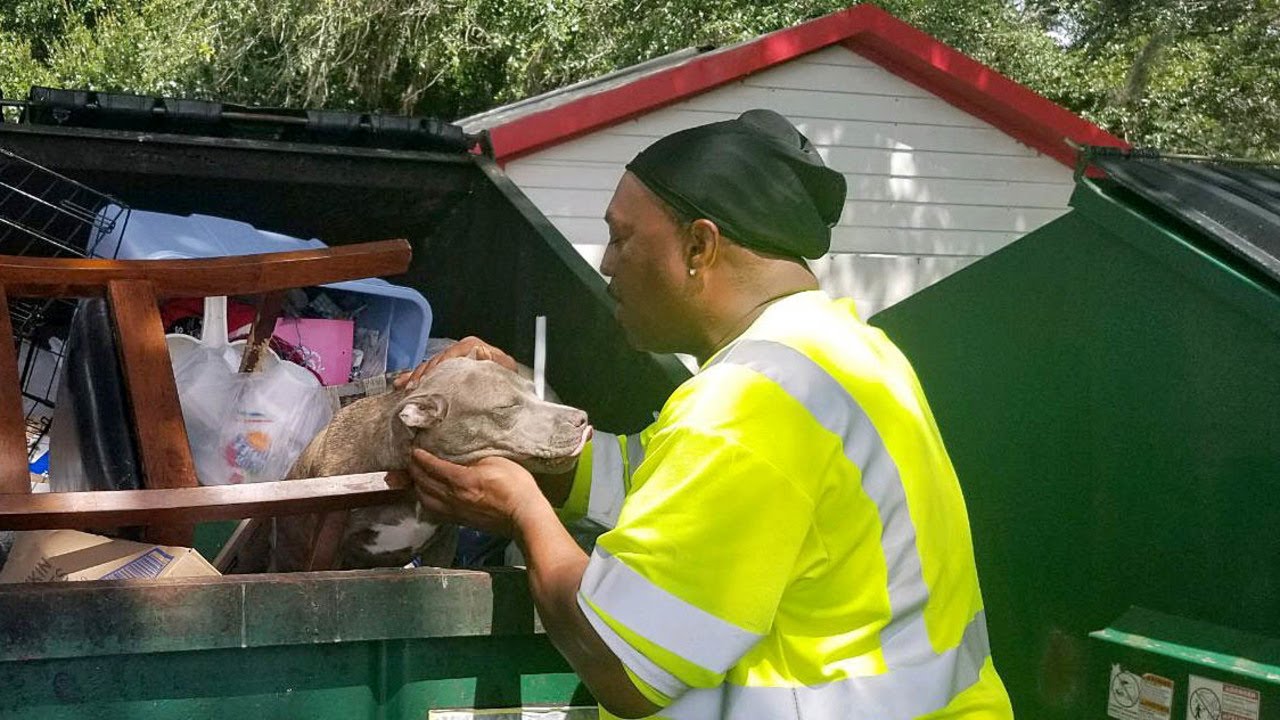 Workers rescue doggy in dumpster