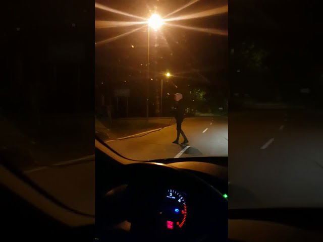 Junger Mann hilft Biber beim Holz-Tragen